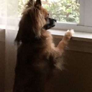 Meet your Posher, Gavin